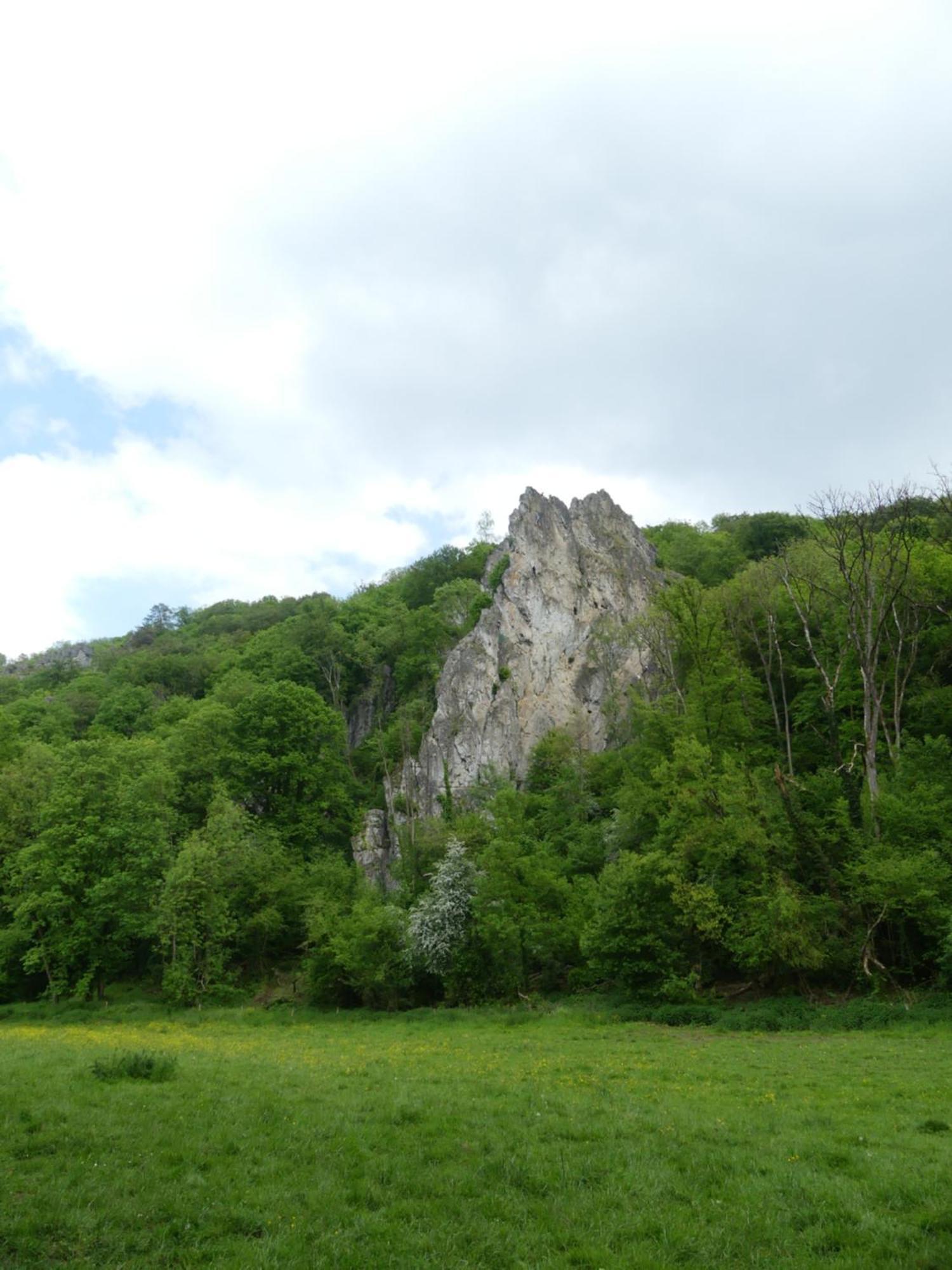 Au Bois Charmant Waulsort 外观 照片